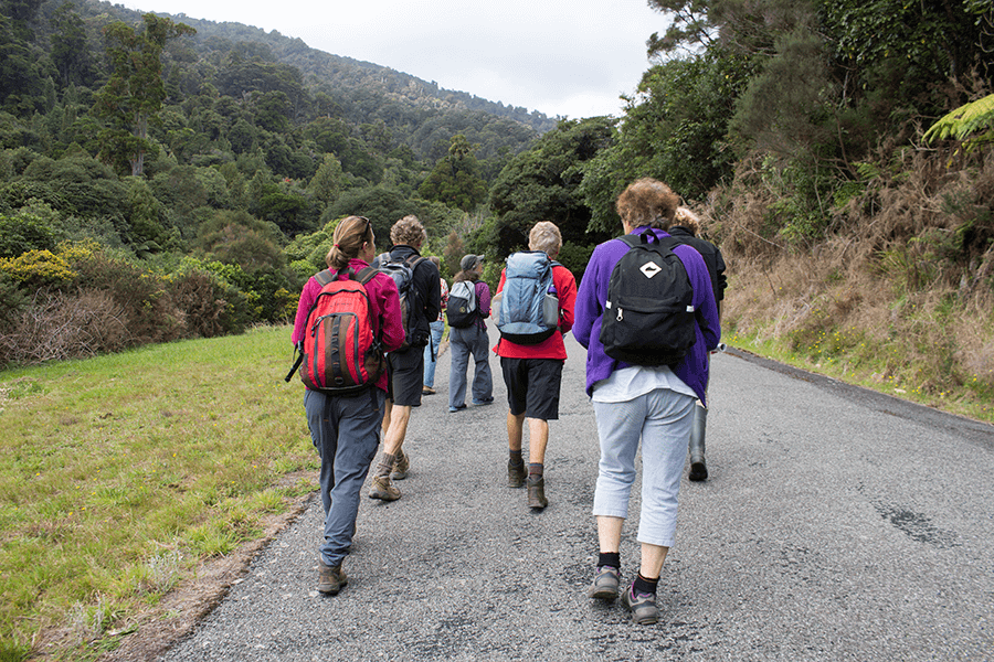 group walking